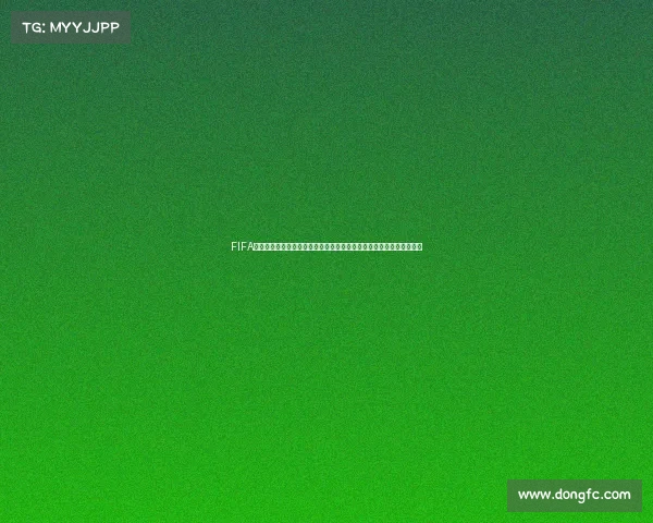 FIFA世界杯奥塔门迪回顾阿根廷征战传奇与防线核心表现解析之路深度剖析